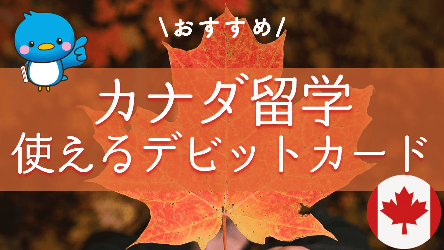 カナダ留学にデビットカードは必要？おすすめ3選を現地留学生が紹介｜English With